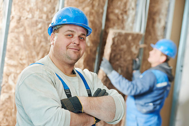 Best Eco-Friendly Insulation in Farley, IA