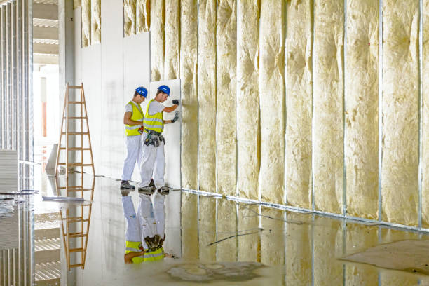 Best Energy Efficiency Insulation in Farley, IA